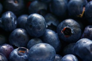 antioxidant-berries-bilberry-139749